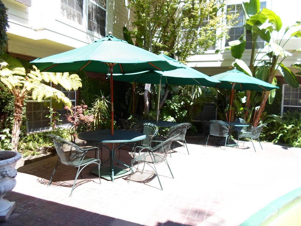 Arena Hotel San Jose Exterior photo